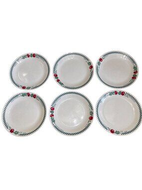 Corelle By Corning Farm Fresh Dinner Plates 6pc 10.25" Diameter  USA FLAW